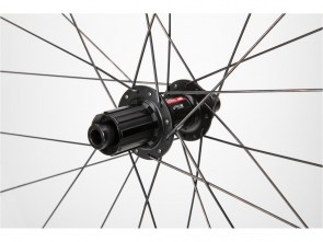 Nenhuma imagem definida 